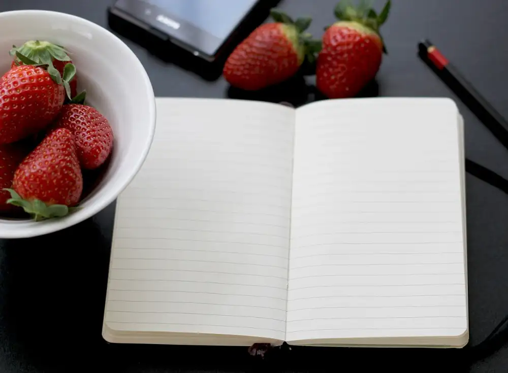 Moleskine