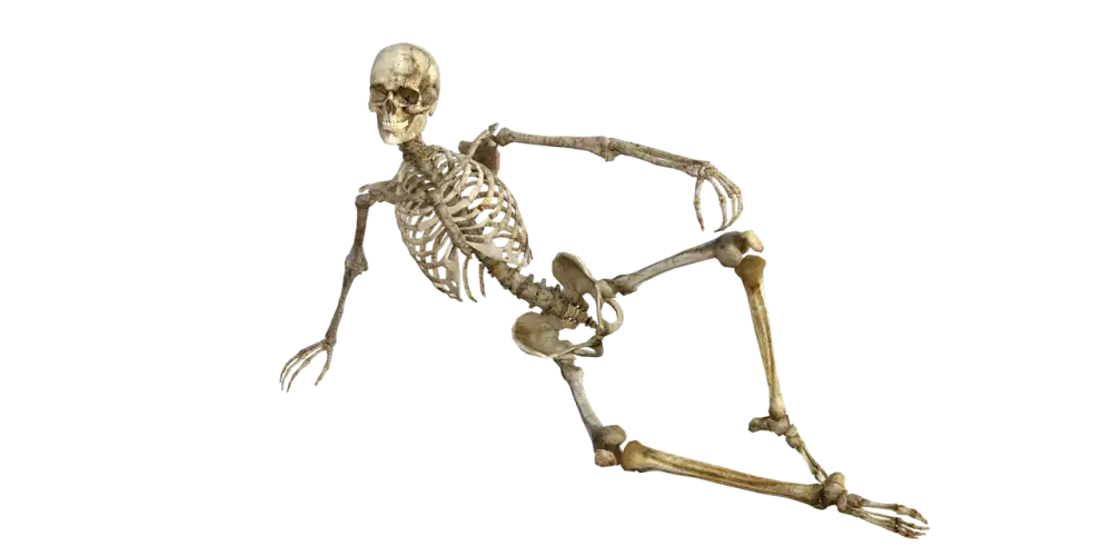 Kostra